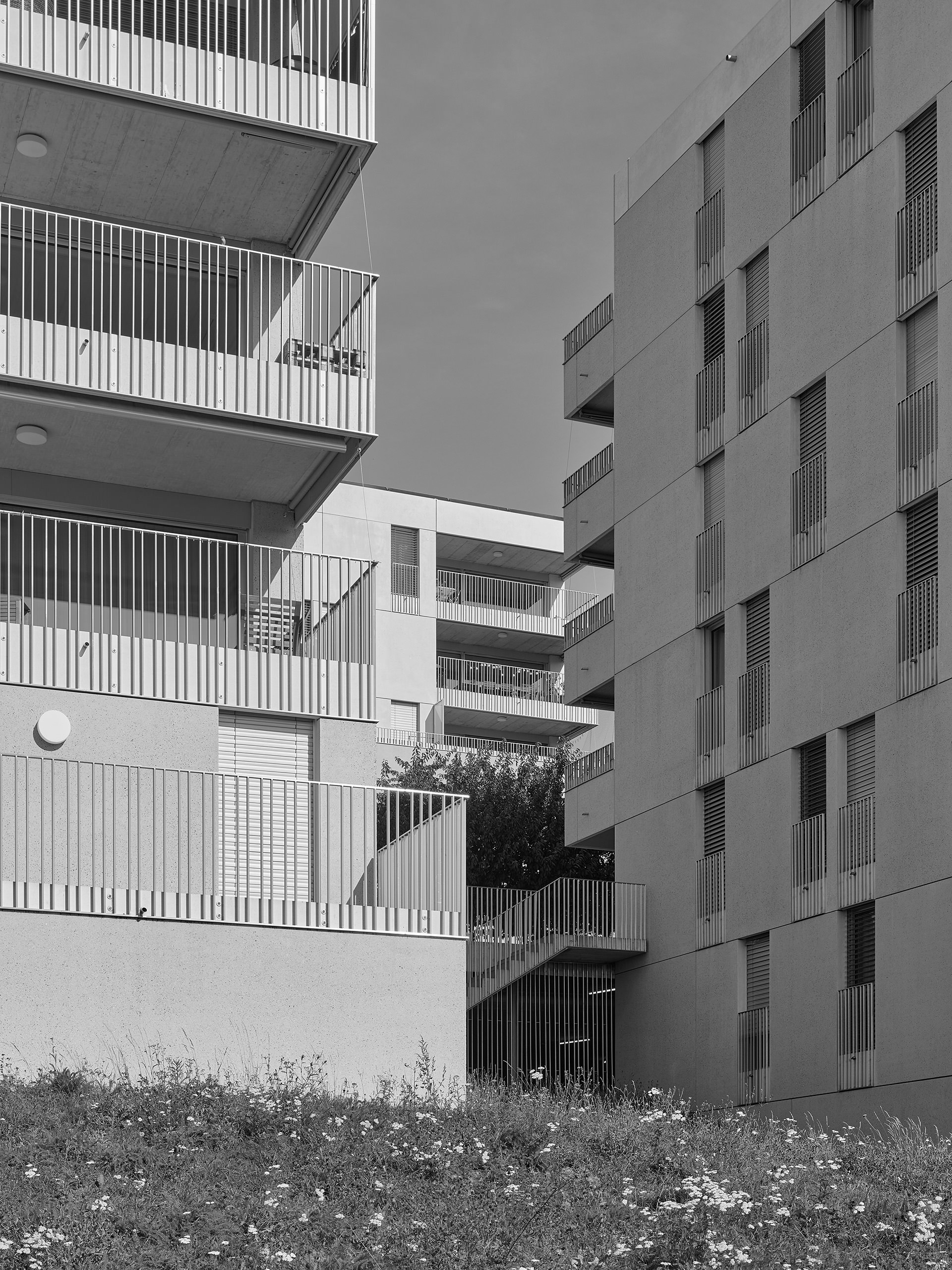 Quartier de logements en Jonchets, Bussigny-près-Lausanne, 2015